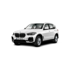 BMW X5 xDrive 25d Business autom. 231HP